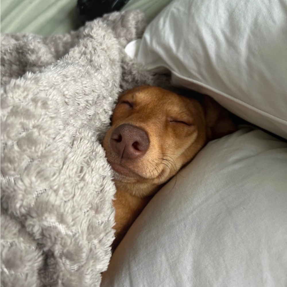 Meet your Posher, Karen